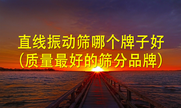 直线振动筛哪个牌子好（质量好的筛分设备品牌）
