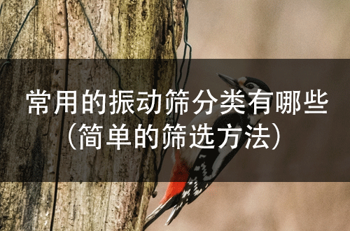 常用的振动筛分类有哪些（简单的筛选方法）